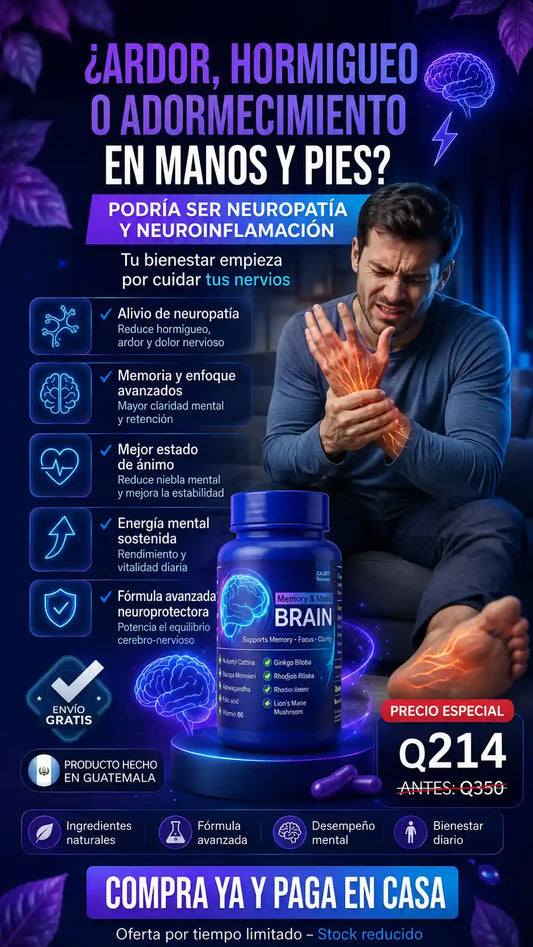 NEURO BRAIN2